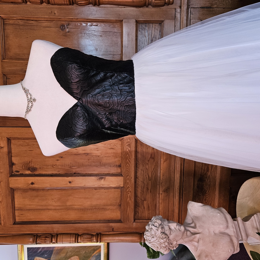 Camille La Vie Elegant Prom Dress. Black Leather Fitted Bodice, Tulle Skirt - Picture 2 of 8